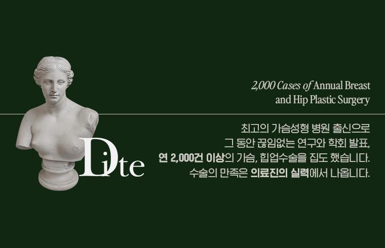 디테성형외과의원
