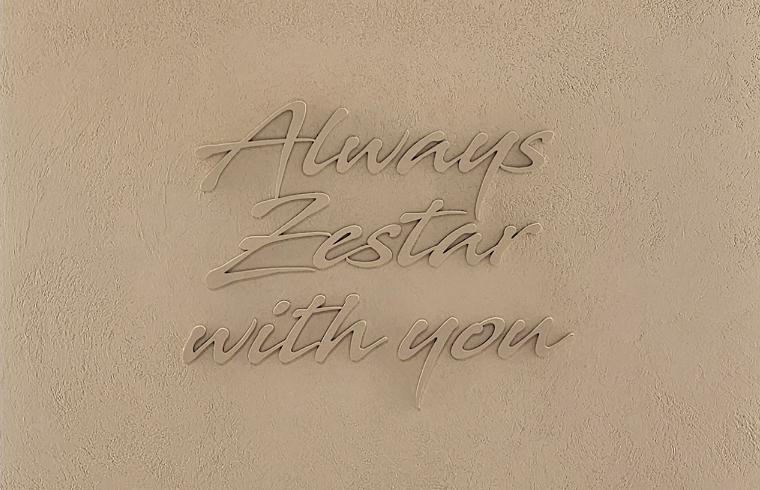 Zestar Plastic Surgery · interior