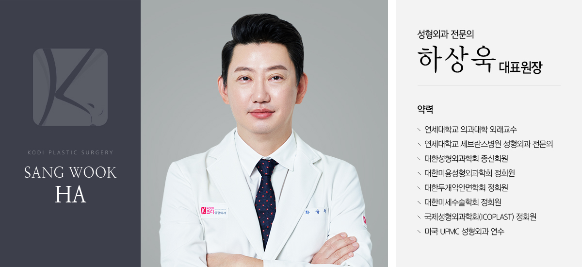 Ha Sang Wook